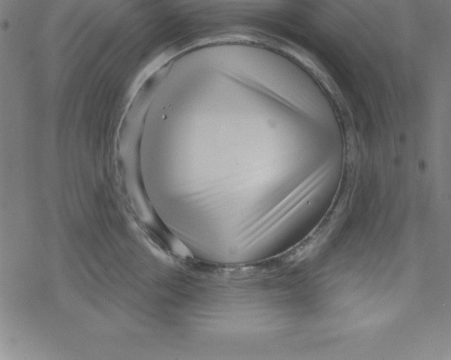 X0000078250858200612011628
