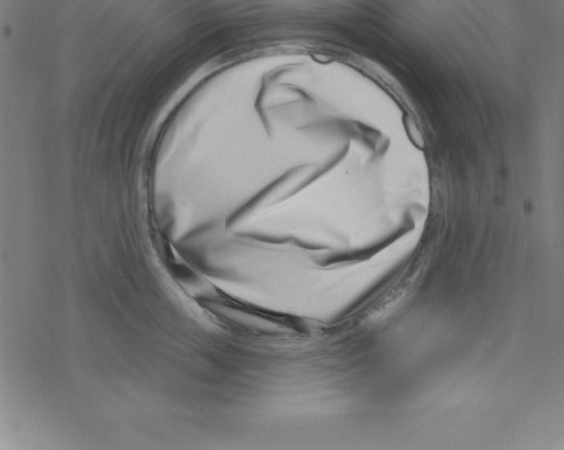 X0000078250859200612011628