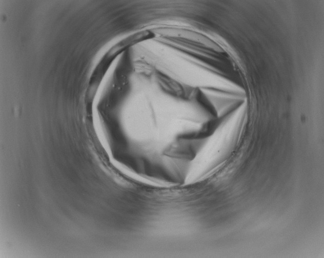 X0000078250862200612011628