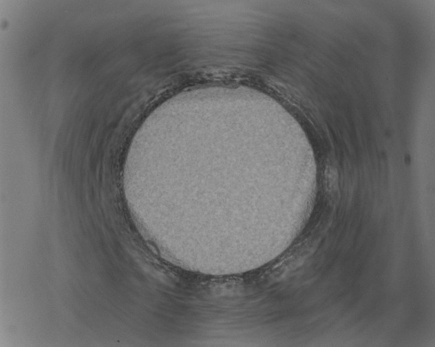 X0000078250865200612011627