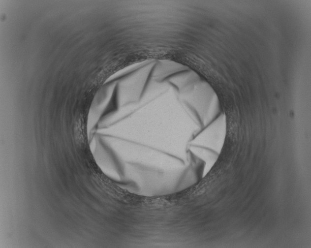 X0000078250866200612011627