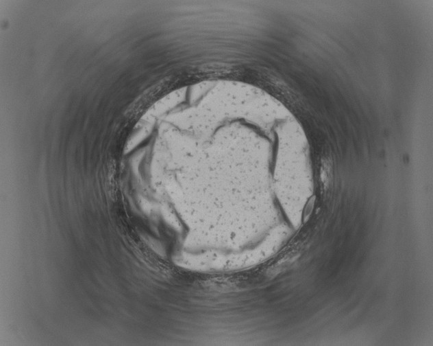 X0000078250867200612011627