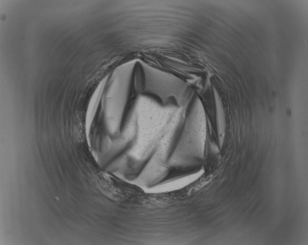 X0000078250868200612011627