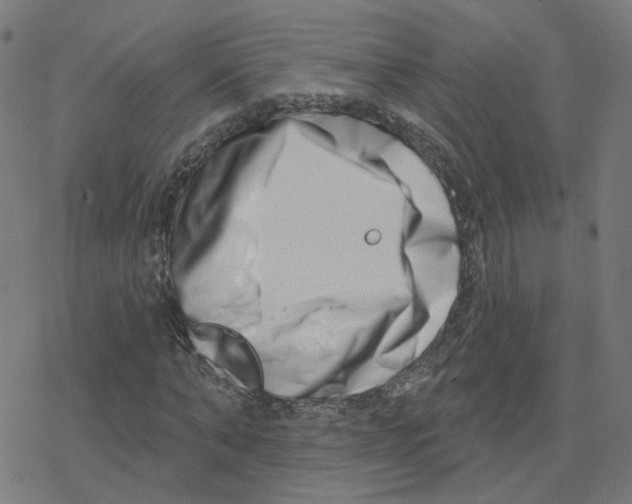 X0000078250870200612011627