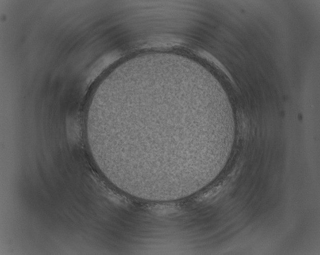X0000078250874200612011627