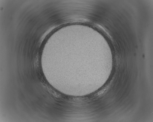X0000078250875200612011627
