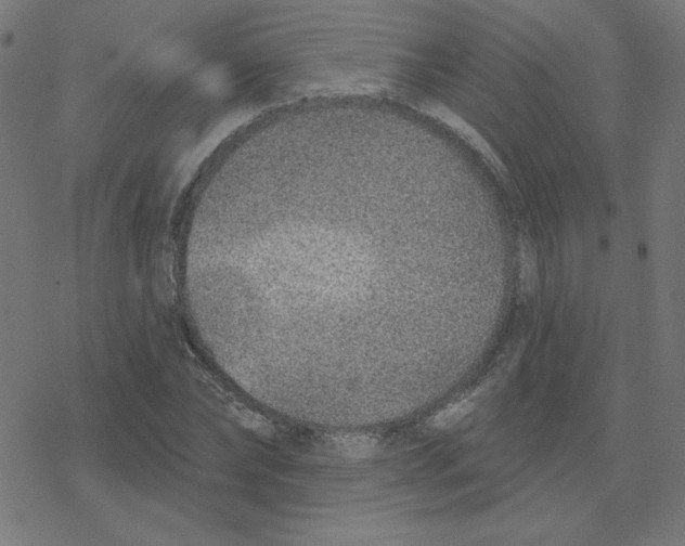 X0000078250878200612011627