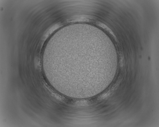X0000078250882200612011627
