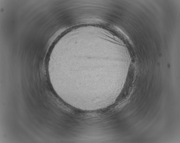 X0000078250883200612011627