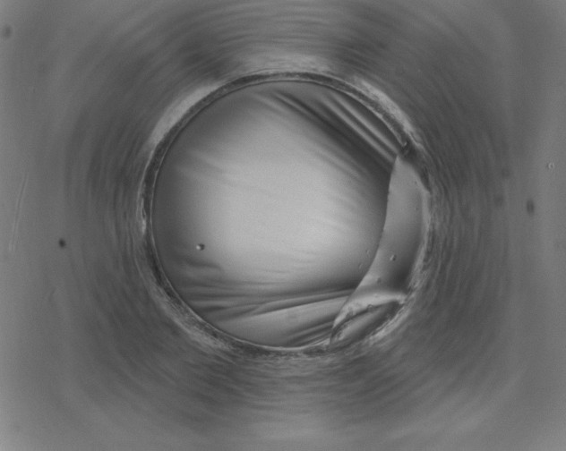 X0000078250885200612011627