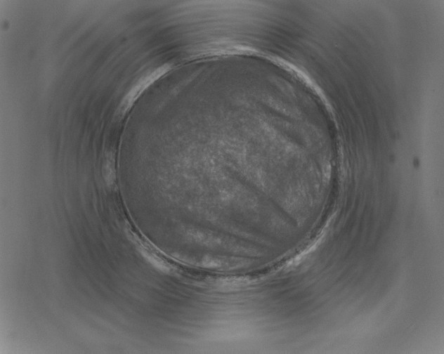 X0000078250889200612011627
