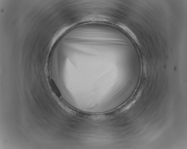 X0000078250893200612011627