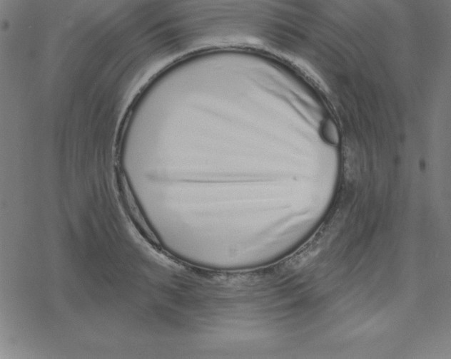 X0000078250895200612011627