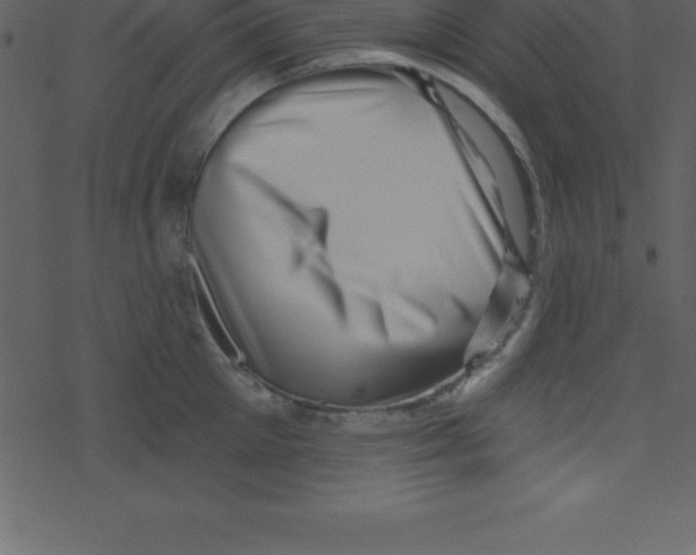 X0000078250905200612011626