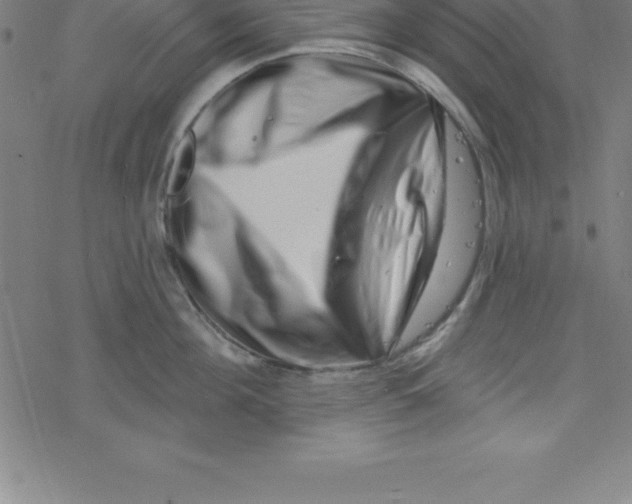 X0000078250908200612011626