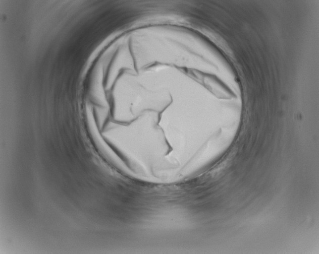X0000078250912200612011626