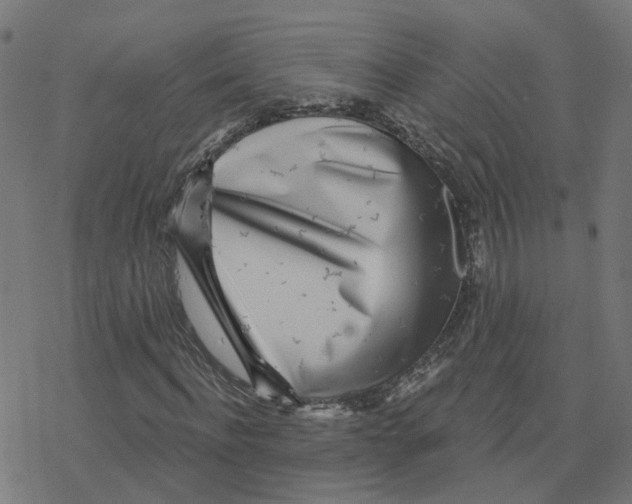 X0000078250916200612011626