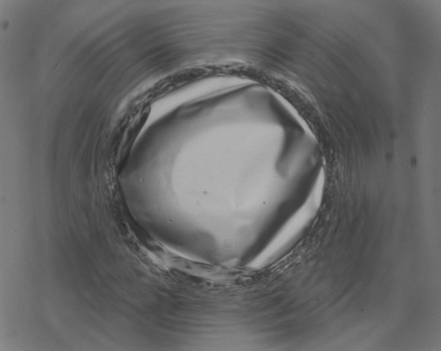 X0000078250920200612011626