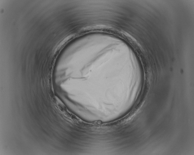 X0000078250921200612011626