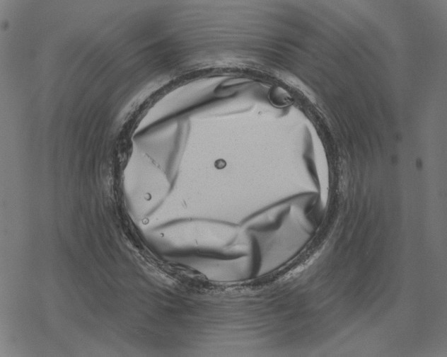 X0000078250922200612011626