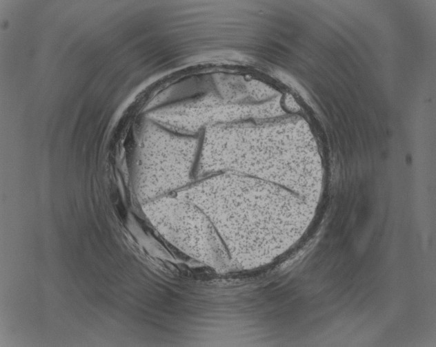 X0000078250923200612011626
