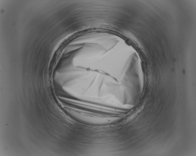 X0000078250924200612011626