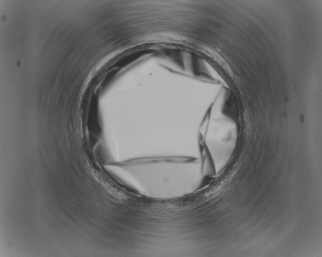 X0000078250931200612011626
