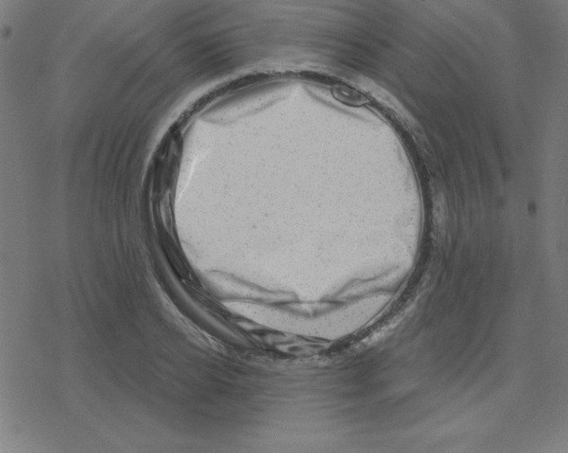 X0000078250934200612011626