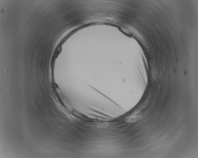 X0000078250940200612011626