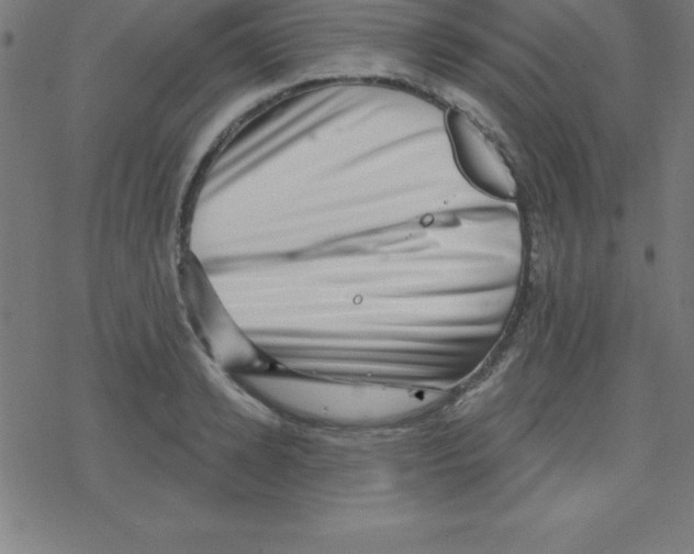 X0000078250942200612011626