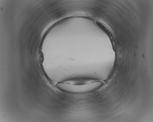 X0000078250944200612011626