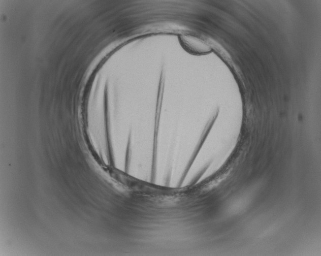 X0000078250947200612011626