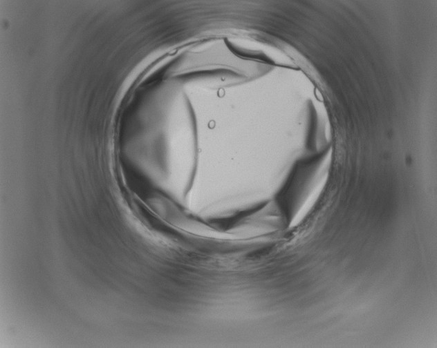 X0000078250955200612011626