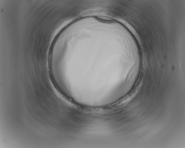 X0000078250957200612011626