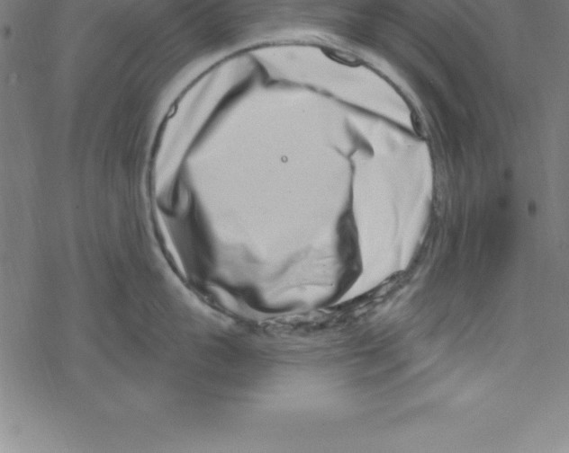 X0000078250959200612011626