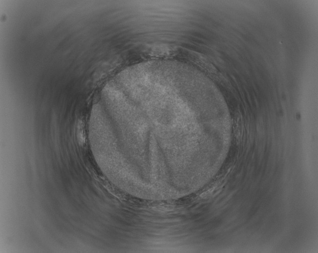 X0000078250962200612011625