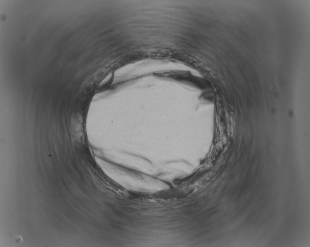 X0000078250963200612011625