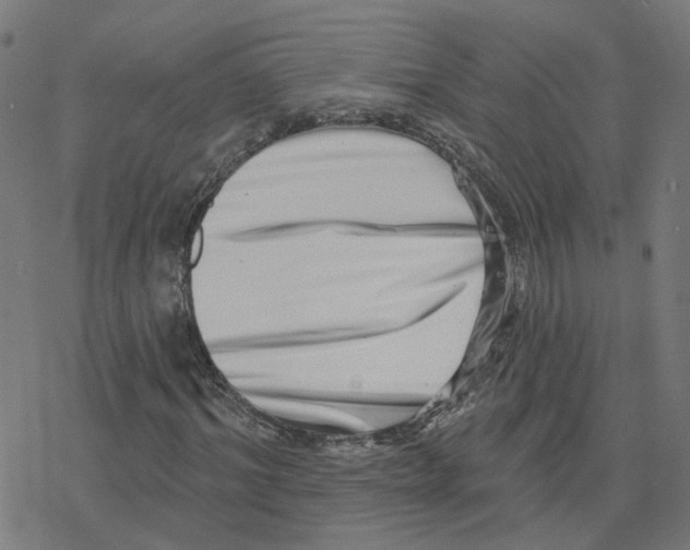 X0000078250964200612011625