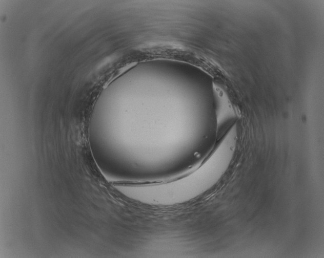 X0000078250965200612011625