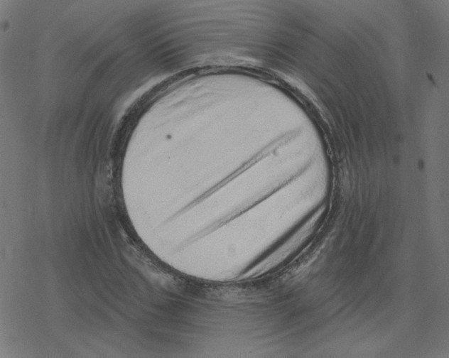 X0000078250971200612011625