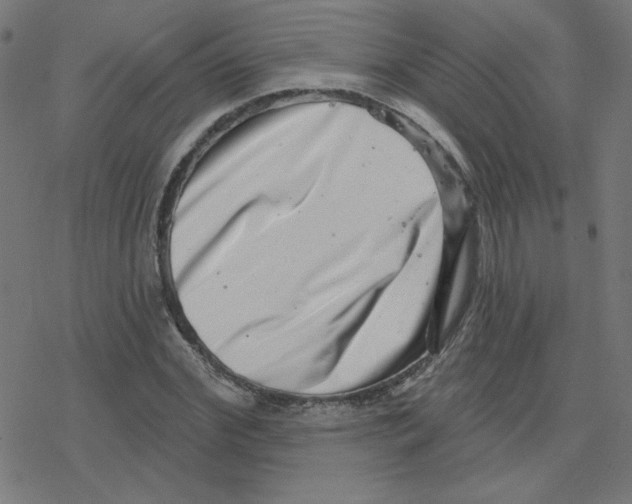 X0000078250972200612011625