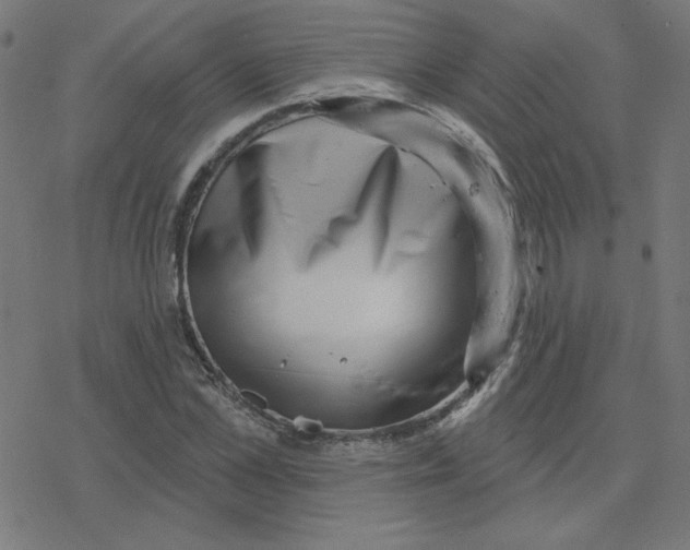 X0000078250973200612011625