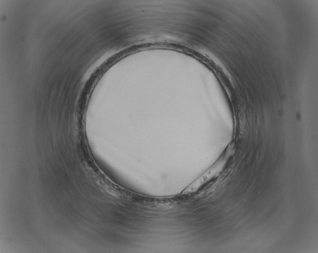 X0000078250975200612011625