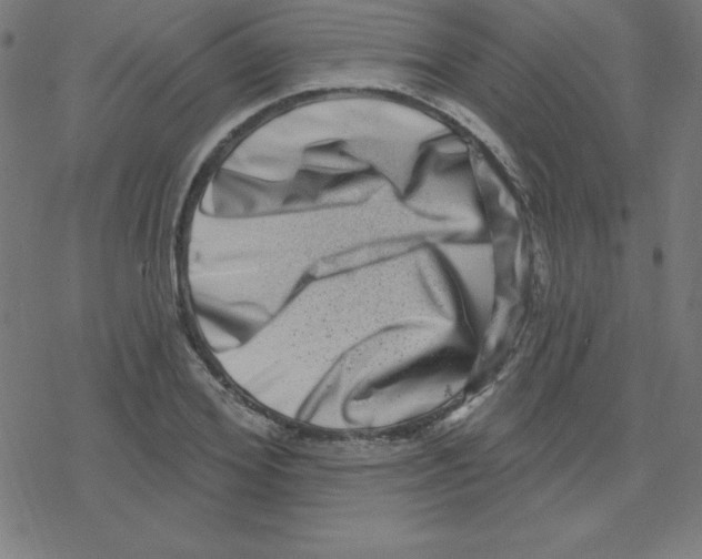 X0000078250980200612011625