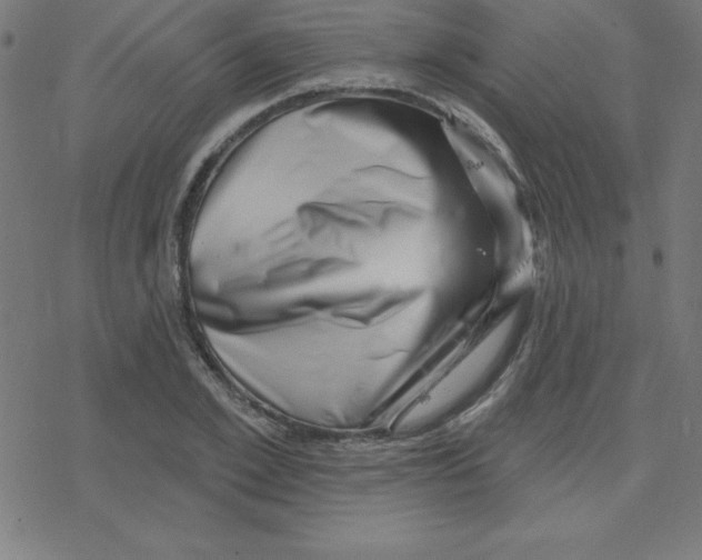 X0000078250981200612011625