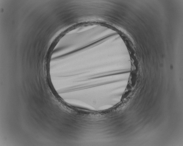 X0000078250983200612011625
