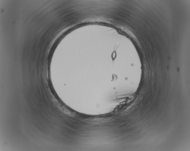 X0000078250984200612011625
