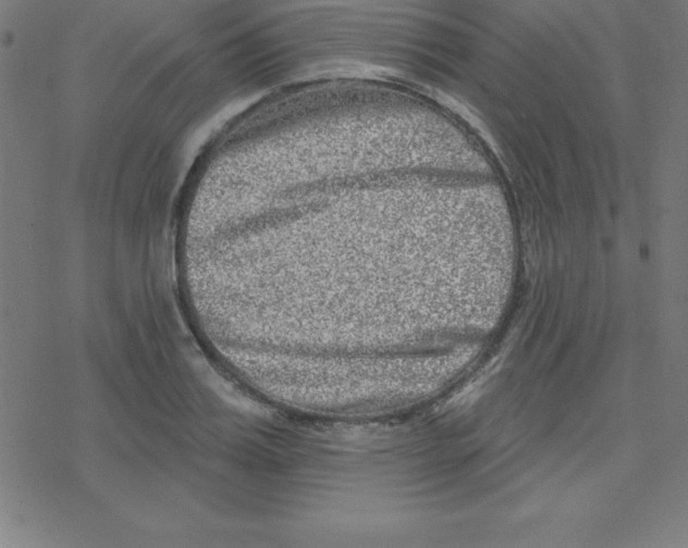 X0000078250987200612011625