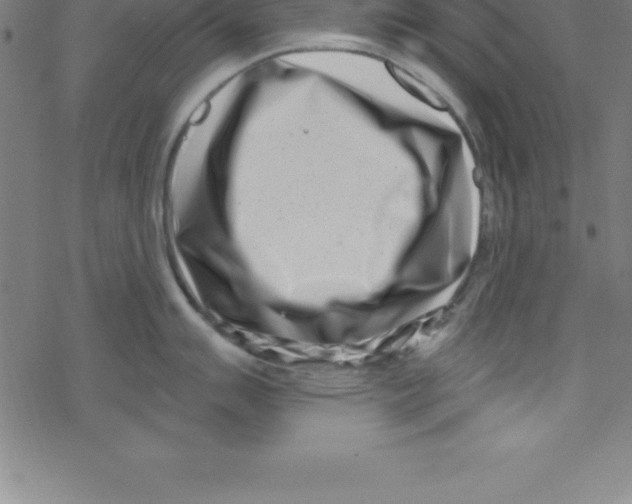 X0000078251007200612011625