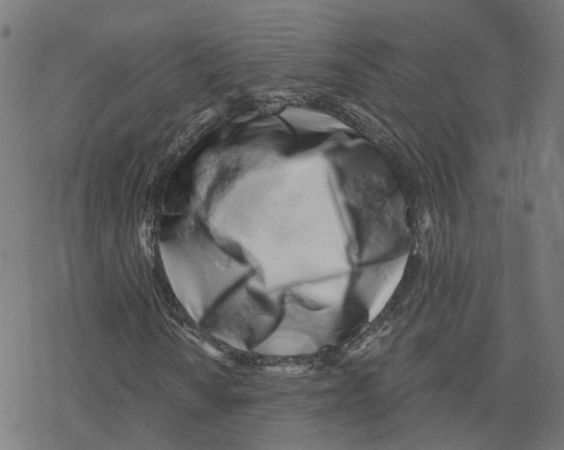X0000078251010200612011624